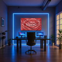 Silksong hollow knight flag
