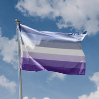 Butch Lesbian Flag - Flag Republic