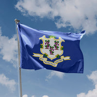 Connecticut State Flag