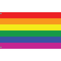 Rainbow LGBT Pride Flag
