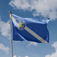 Las Vegas City Flag