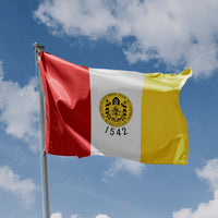 San Diego City Flag