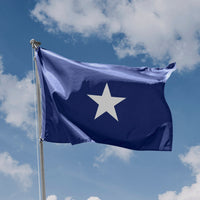 Bonnie Blue Flag