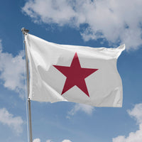 Alvarado Lone Star Flag