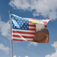 USA And Eagle Flag
