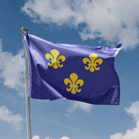 Medieval France Flag