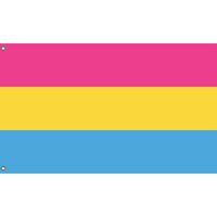 Pansexual Pride Flag