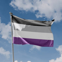 Asexual Flag
