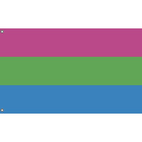 Polysexual Pride Flag - Flag Republic