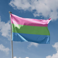 Polysexual Pride Flag - Flag Republic