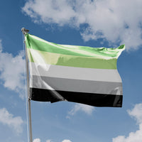 Aromantic Flag - Flag Republic