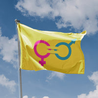 Gender Equal Sign Flag