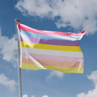 Pangender Pride Flag - Flag Republic