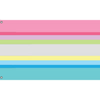 Gender Questioning Pride Flag