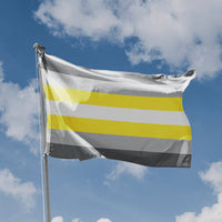 Demigender Flag