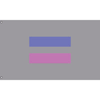Androgynous Pride Flag II