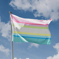 Gender Questioning Pride Flag