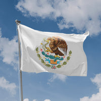 Mexico National Emblem Flag