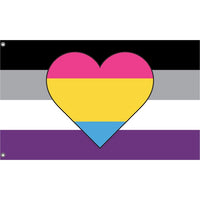 Asexual Panromantic Heart Flag - Flag Republic