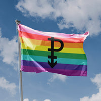 Pansexual Flag