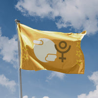 Pluto Flag - Flag Republic