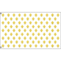 Kingdom of France Flag - Flag Republic