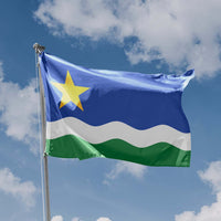 Minnesota North Star Flag