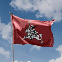 Historical Vytis Horseman Flag VIII