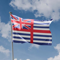 Van Diemens Land Ensign
