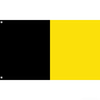 Town of Sneek Flag