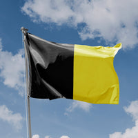 Town of Sneek Flag