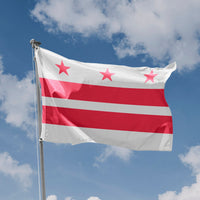 Washington City Flag