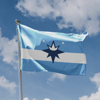 New Springfield, Missouri Flag