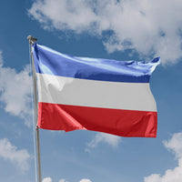 Schleswig-Holstein, Germany Flag