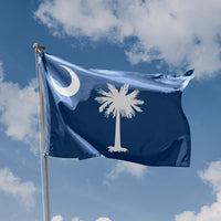 Redesigned South Carolina State Flag - Flag Republic