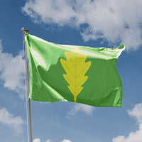 Eigersund, Norway Flag
