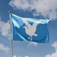 Hasvik, Norway Flag - Flag Republic