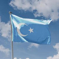 Kokbayraq Uyghurs Flag