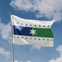 Redesigned Illinois State Flag - Flag Republic