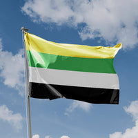 Skoliosexual Flag