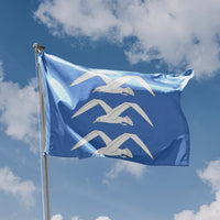 Haugesund, Norway Flag