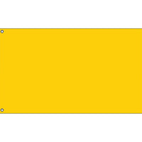 Yellow Flag