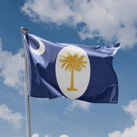 Flag of South Carolina (January 1861) - Flag Republic