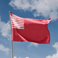 Brandywine Flag
