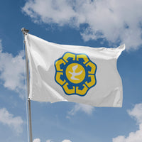 Flag of Nicosia, Cyprus - Flag Republic