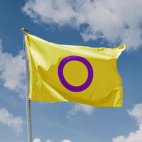 Intersex Pride Flag - Flag Republic