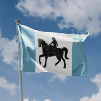 Coventry City Flag, UK - Flag Republic