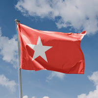 Flag of Maastricht, Netherlands