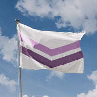 Queer Pride With Chevron Flag