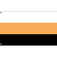 DID/OSDD System Pride Flag